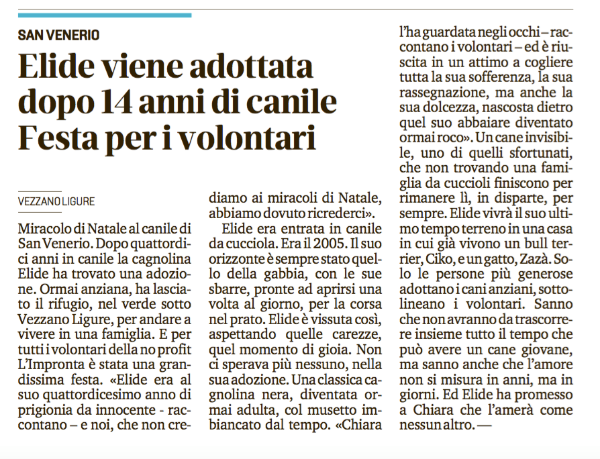 L'adozione della nostra Elide dopo 14 anni di canile si meritava certamente un articolo su il Secolo XIX!!!
 
Voi ci credete ai miracoli di Natale? Noi a dire il vero...no. Però...però quest'anno qualcosa di miracoloso è successo. Elide, entrata in canile quando era solo una cucciola nel lontano 2005, dopo 14 lunghi anni di prigionia...è stata scelta! Proprio lei, sempre troppo schiva, sempre troppo nera, poi sempre troppo burbera, sempre più vecchia. Ma non per Chiara, che guardandola negli occhi è riuscita in un attimo a cogliere tutta la sua dolcezza, tutta la sua sofferenza e la sua rassegnazione...ha capito che dietro il suo ormai roco abbaiare nascondeva ciò che rimaneva della sua speranza di essere amata, del suo desiderio di un riscatto da una vita in prigione. Le persone come lei sono quelle grazie alle quali anche i più invisibili tra i cani sfortunati, hanno una possibilità. 